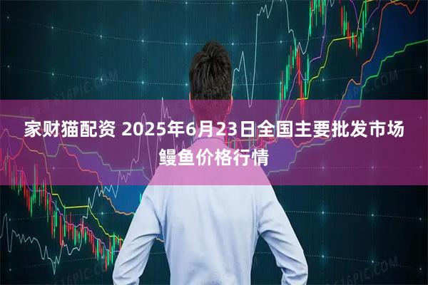 家财猫配资 2025年6月23日全国主要批发市场鳗鱼价格行情