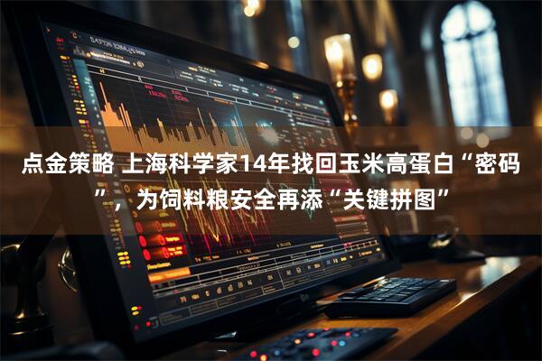 点金策略 上海科学家14年找回玉米高蛋白“密码”，为饲料粮安全再添“关键拼图”